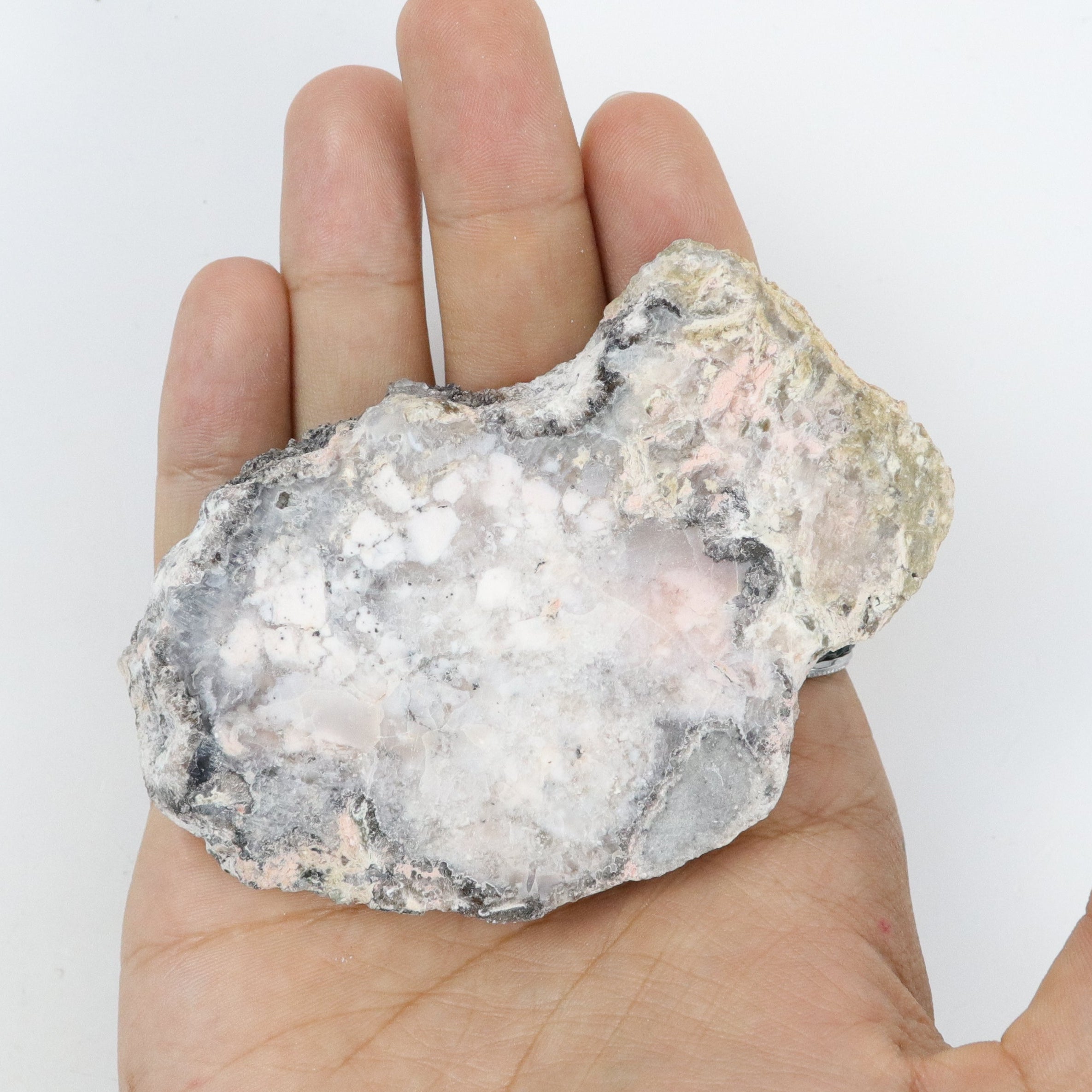 4 Inch Trancas Agate Slice T22