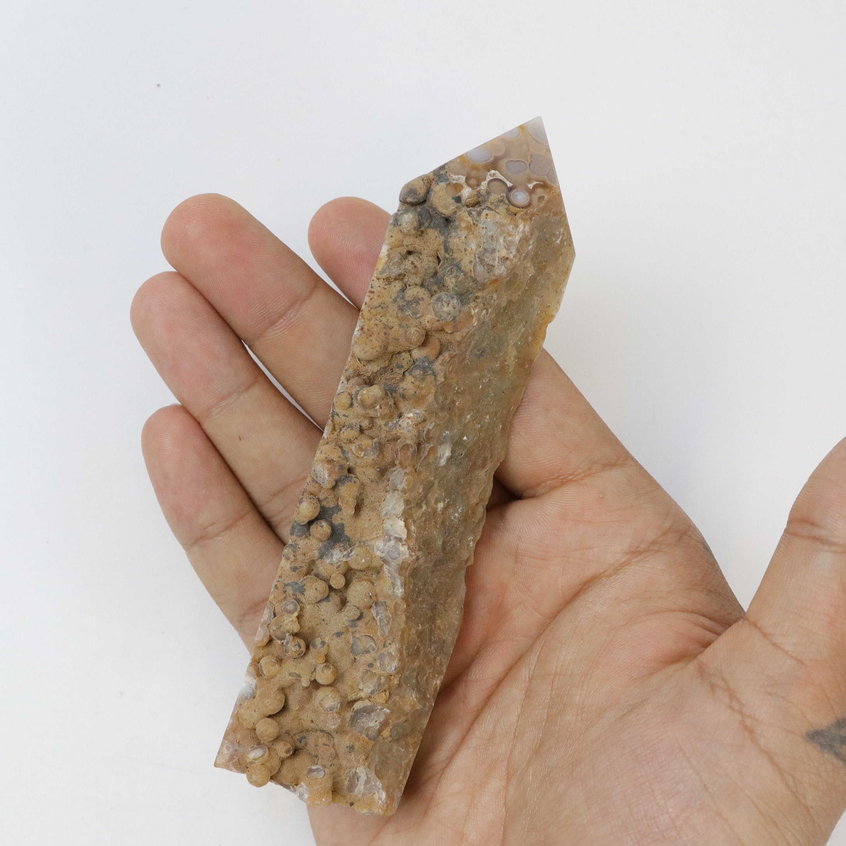 5 Inch Orbicular Jasper Raw Tower J16