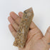 5 Inch Orbicular Jasper Raw Tower J16
