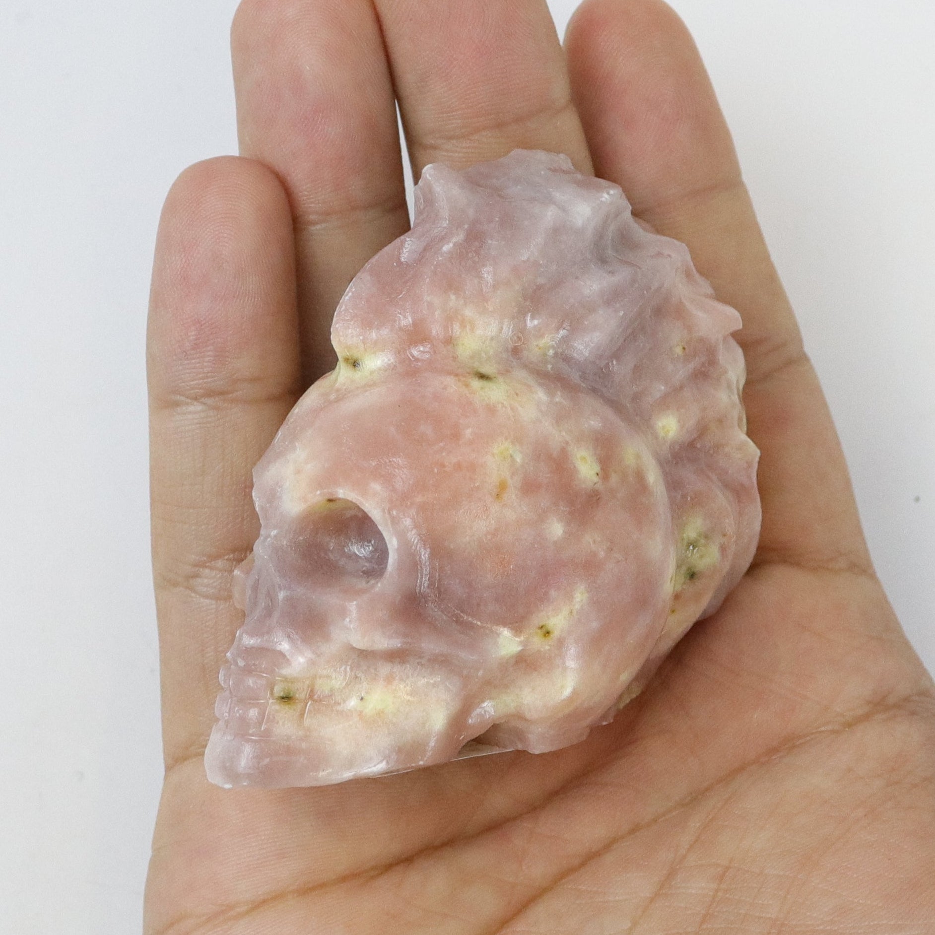 2.5 Inch Spicy Jasper Punk Skulls F23