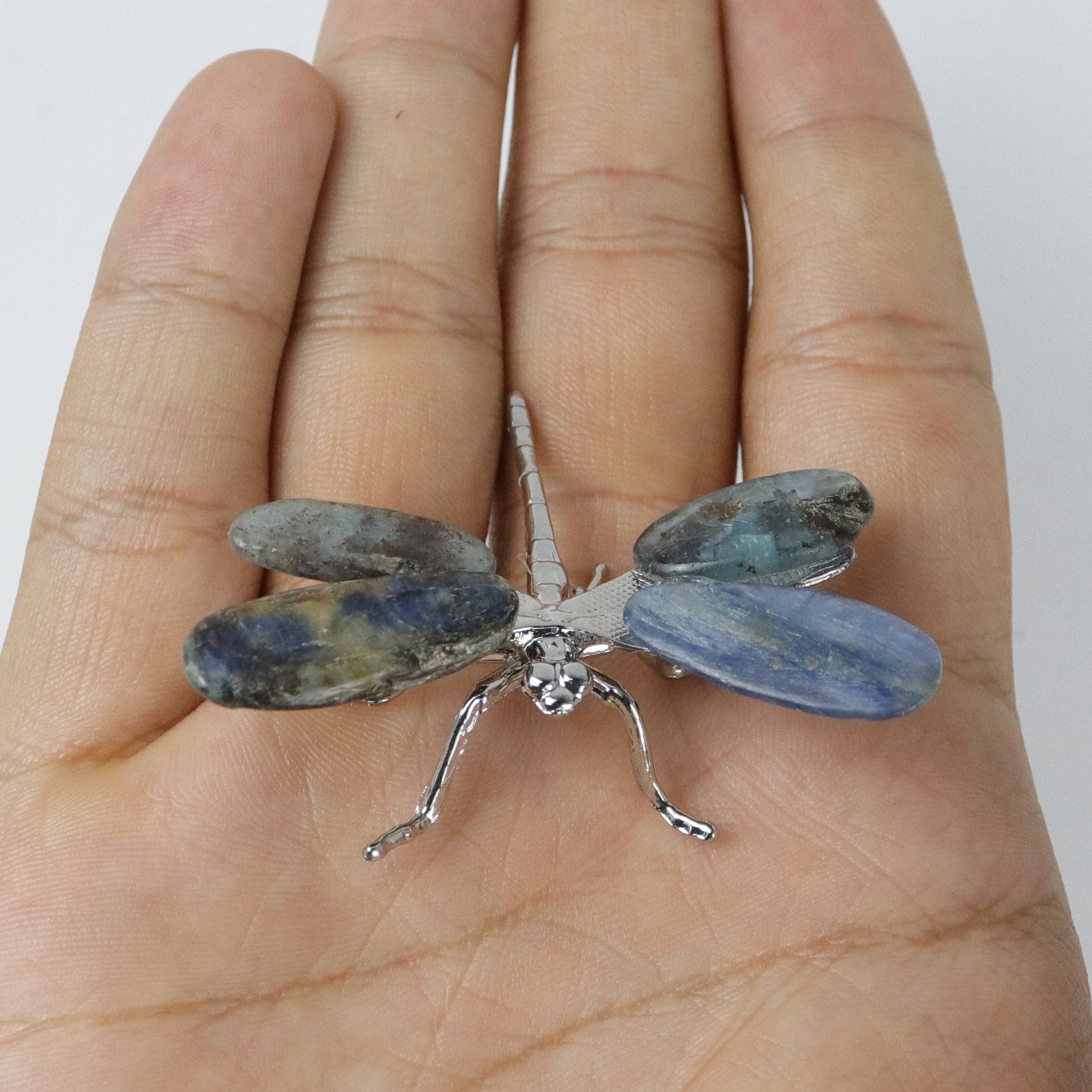 2 Inch Blue Kyanite Gem Chip Dragonfly V8