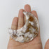 3 Inch Flower Agate Moon J14