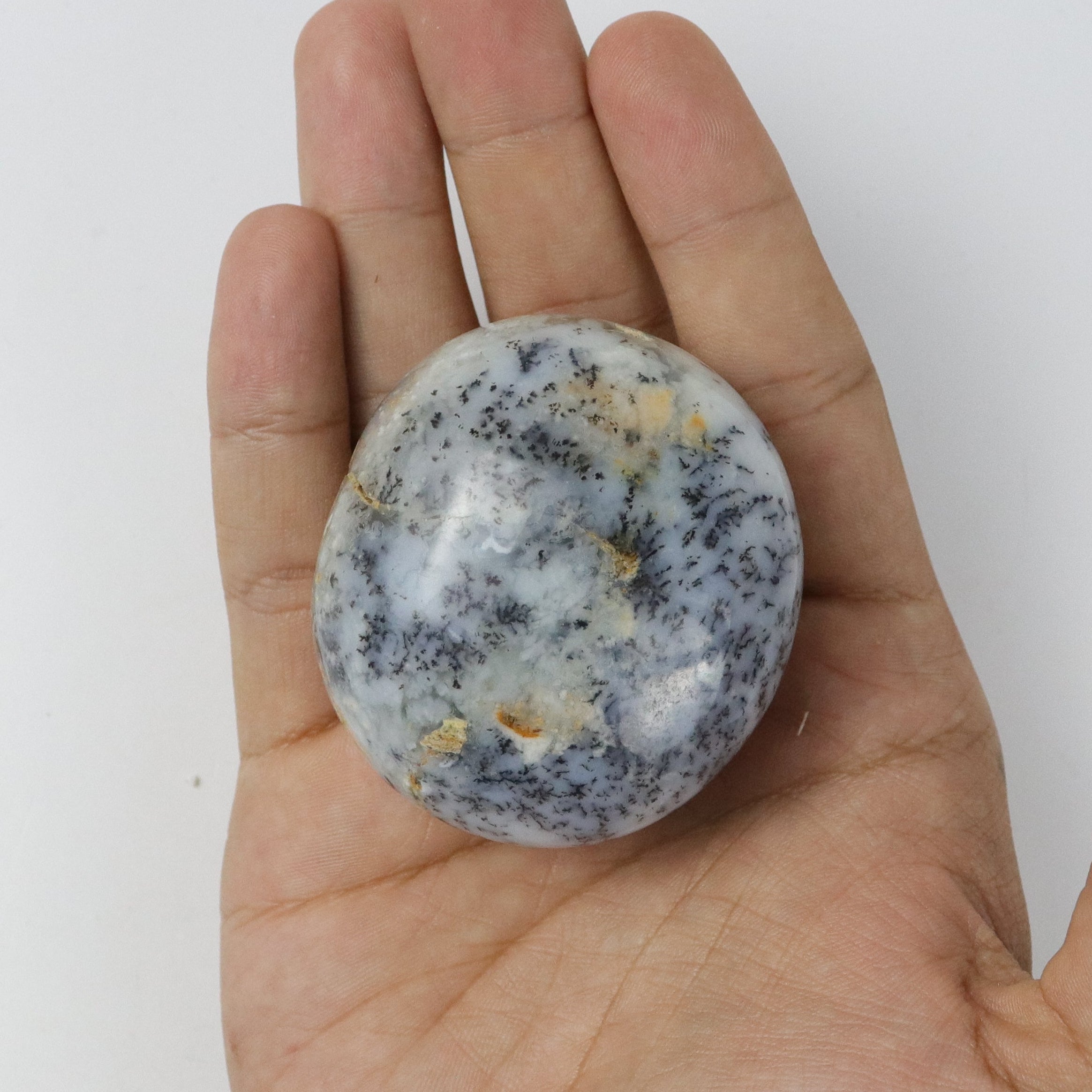 2 Inch Dendritic Opal Palm Stone X10