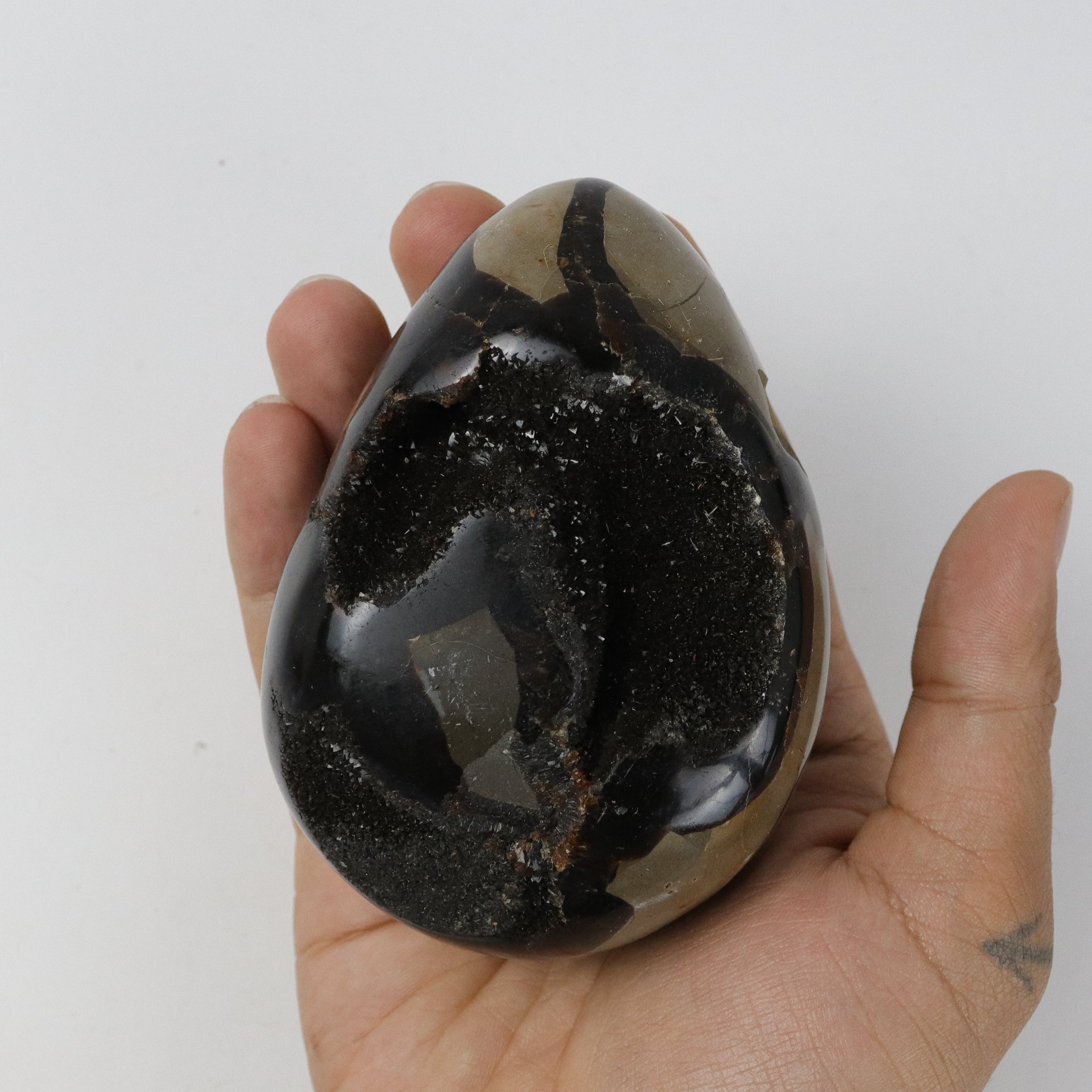 4 Inch Septarian Egg B39