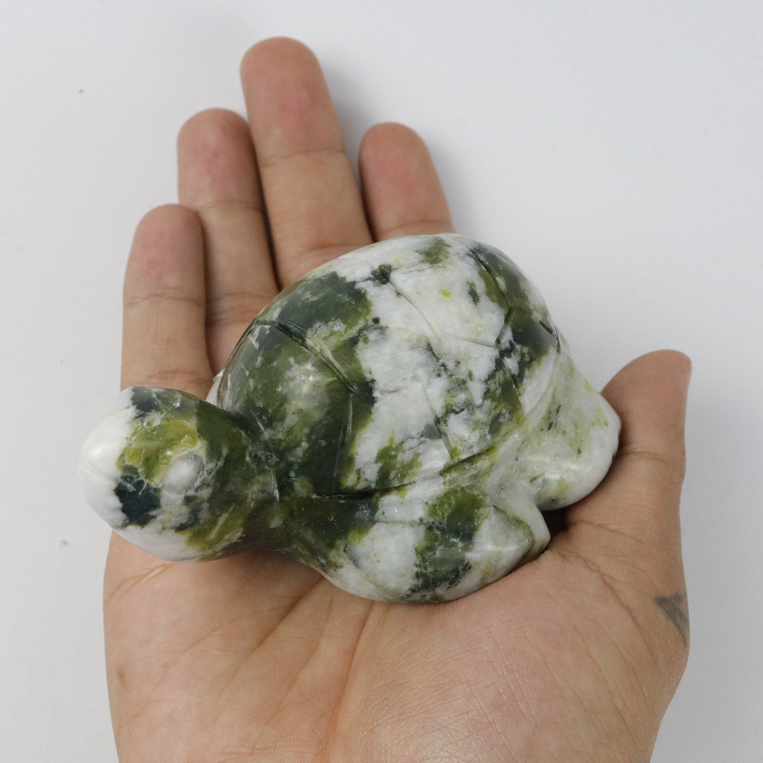 4 Inch Serpentine Turtle C29