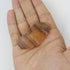 2.25 Inch Fluorite Mini Slab F3