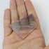 2 Inch Fluorite Mini Slab P3