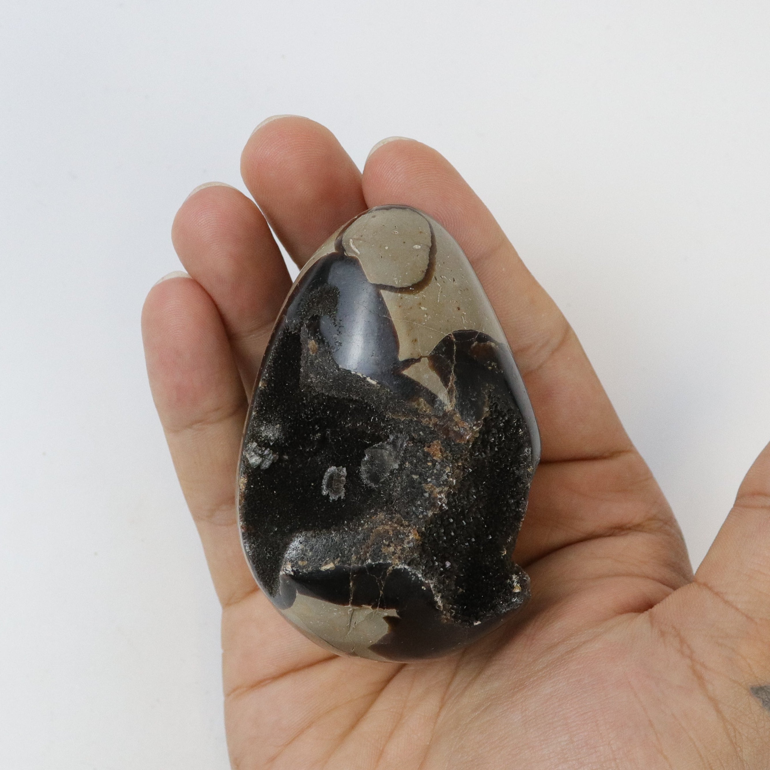 3 Inch Septarian Egg H17