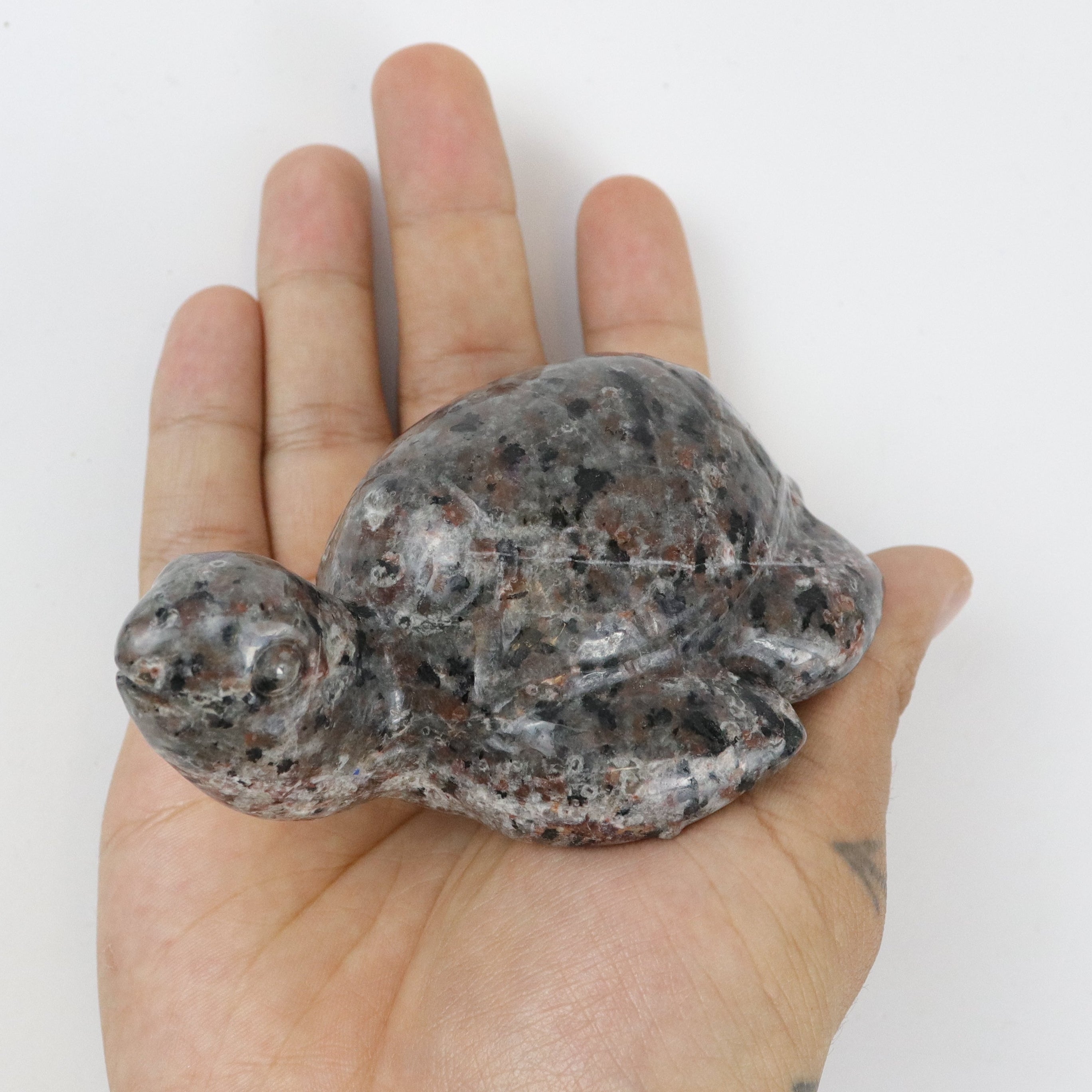 4 Inch Yooperlite Turtle F29