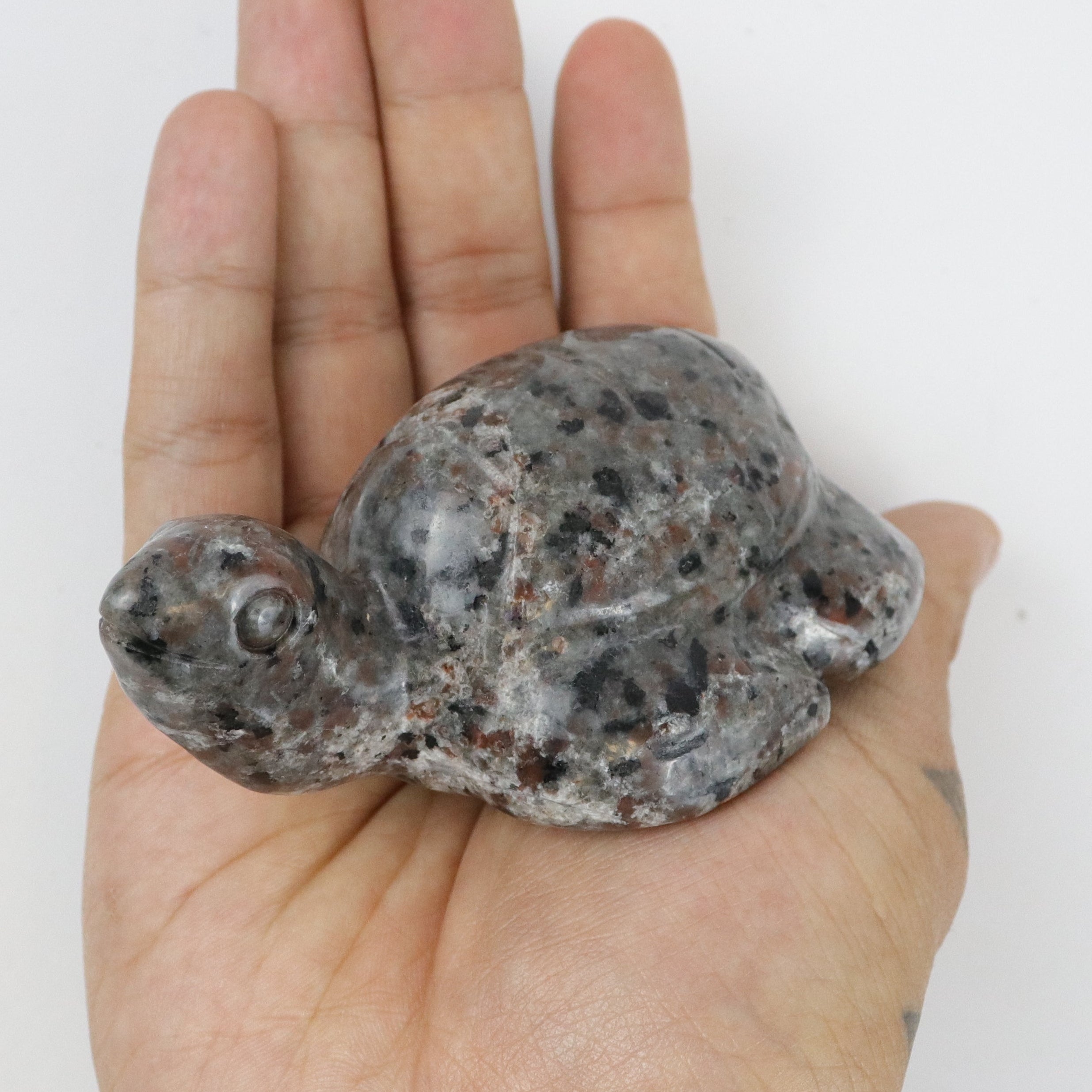 3.75 Inch Yooperlite Turtle E29