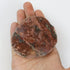3 Inch Petrified Wood Slab D15