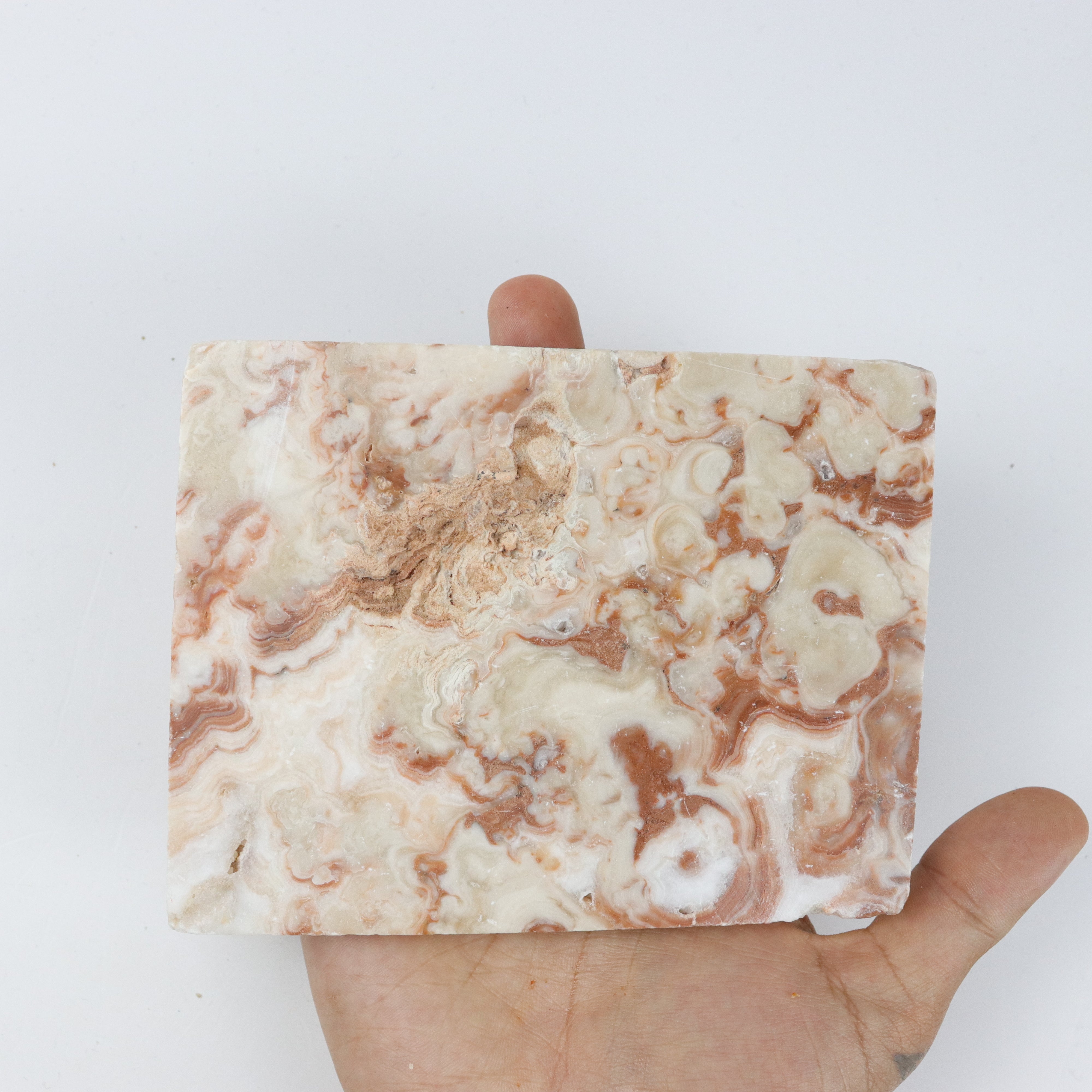 5.25 Inch Pork Stone Slab Q43