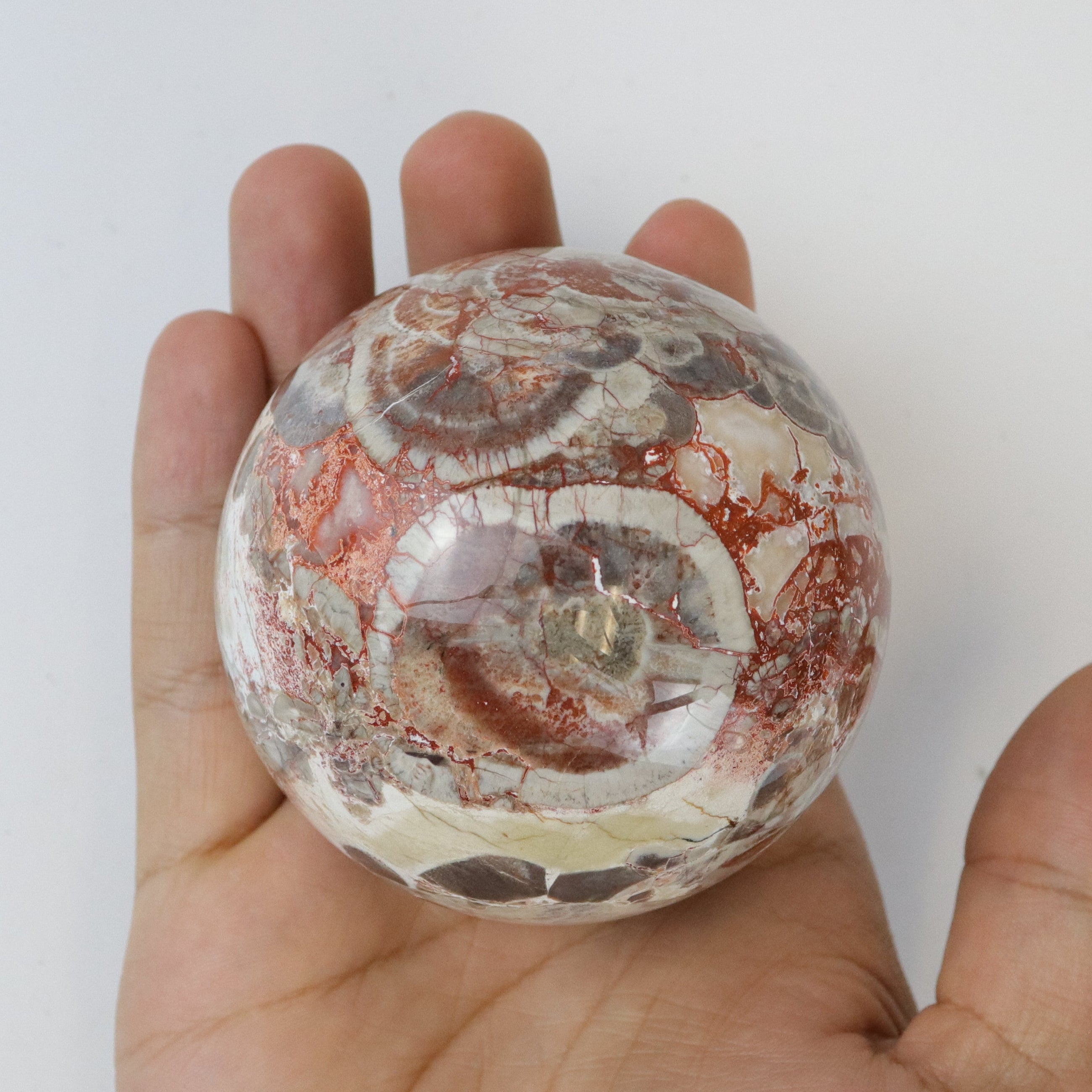 3 Inch Money Agate Sphere A41