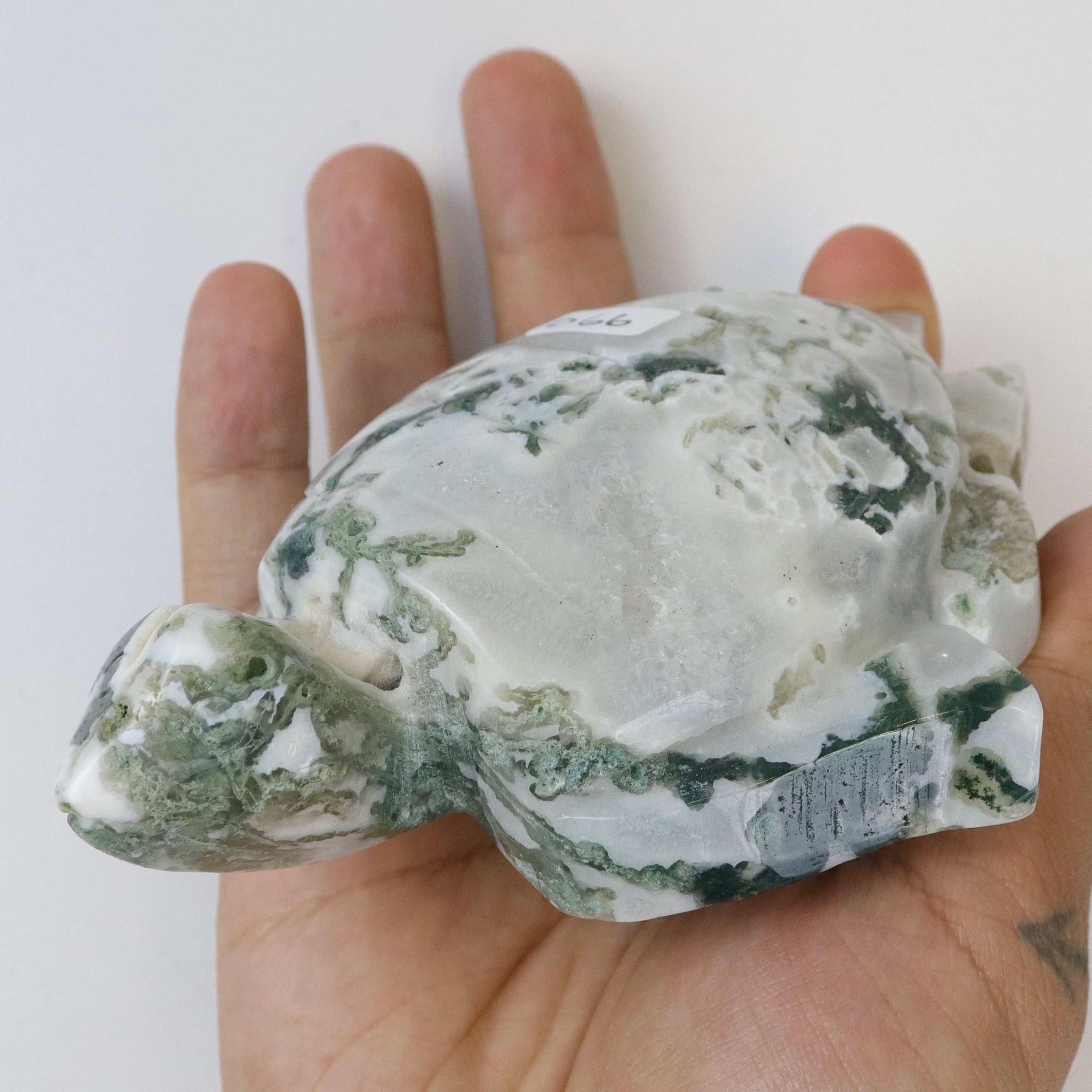 5 Inch Moss Agate Turtle D66