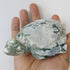 5 Inch Moss Agate Turtle D66