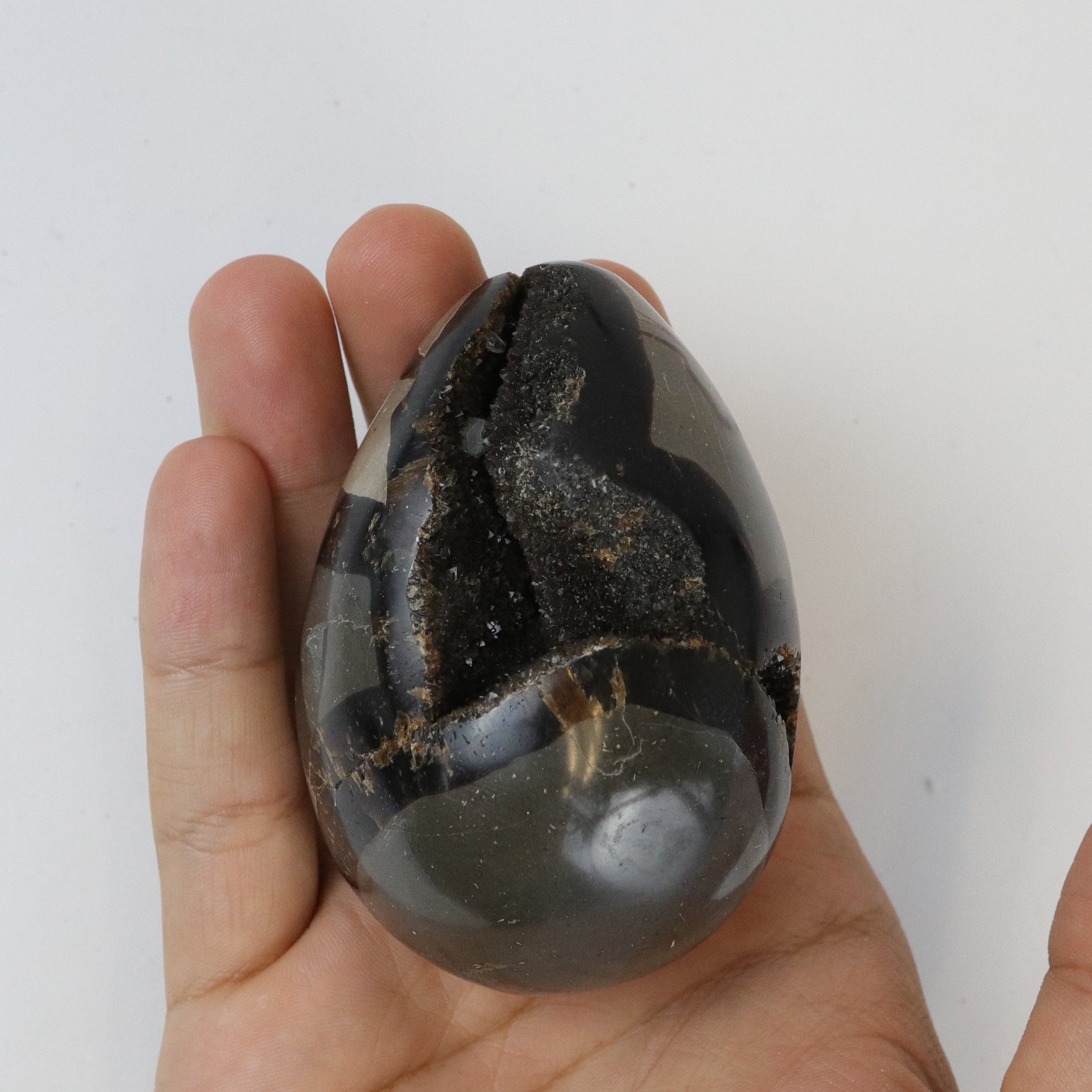 3 Inch Septarian Egg F20