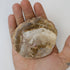 3 Inch Petrified Wood Slab K18