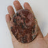 3.5 Inch Petrified Wood Slab M15