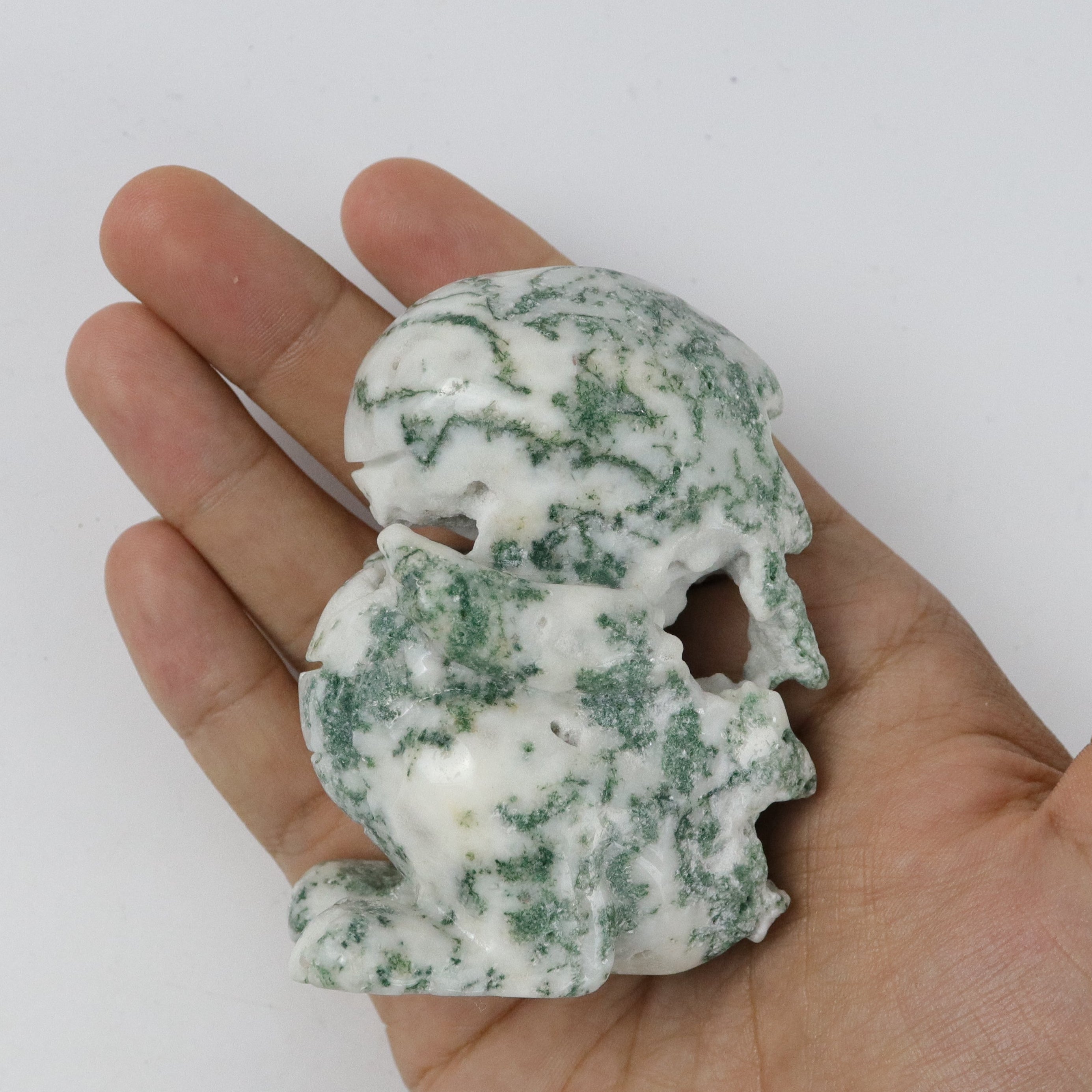 3.5 Inch Moss Agate Dinosaur H30