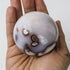 1.5 Inch Flower Agate Sphere $22