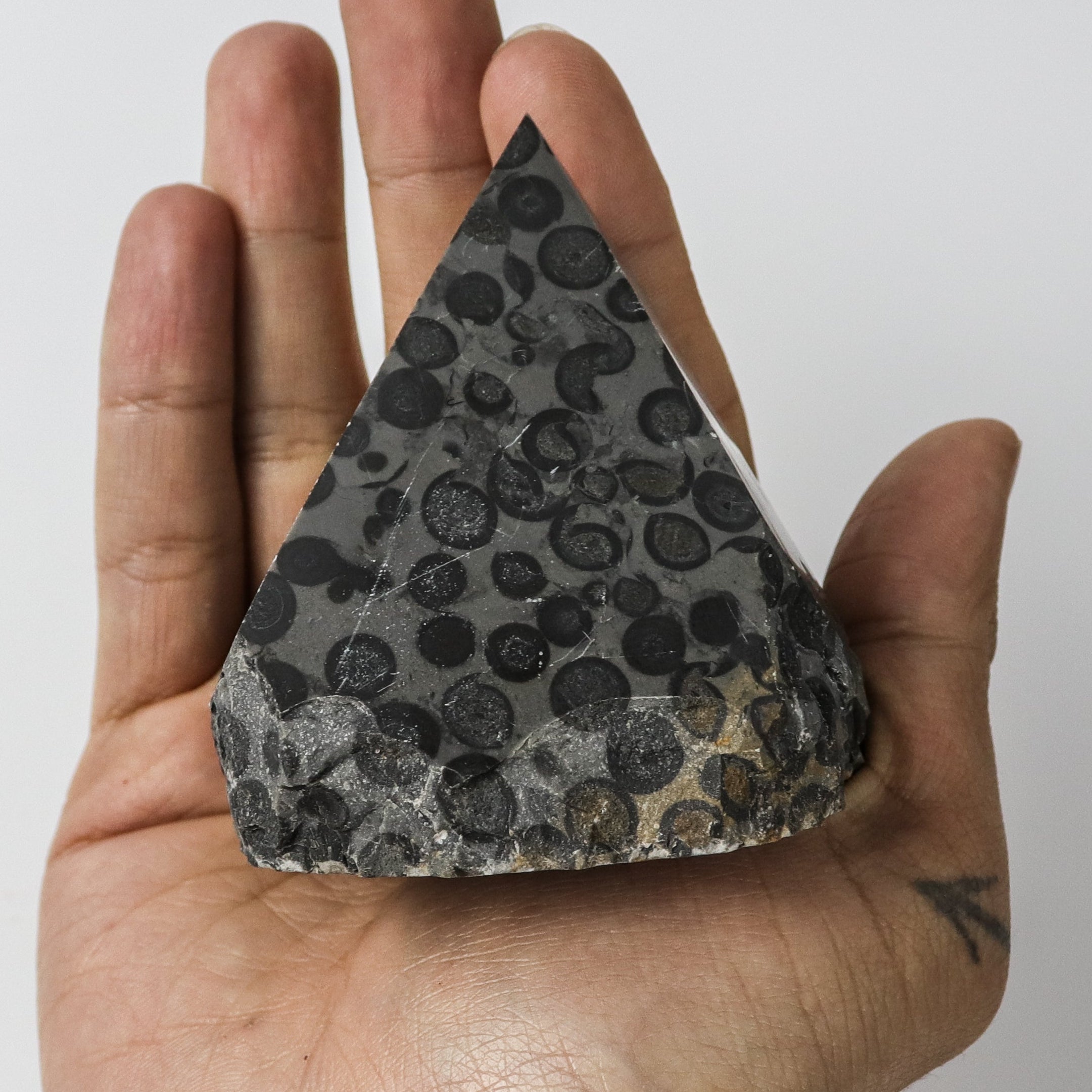 3 Inch Leopard Skin Jasper Top Polish $17