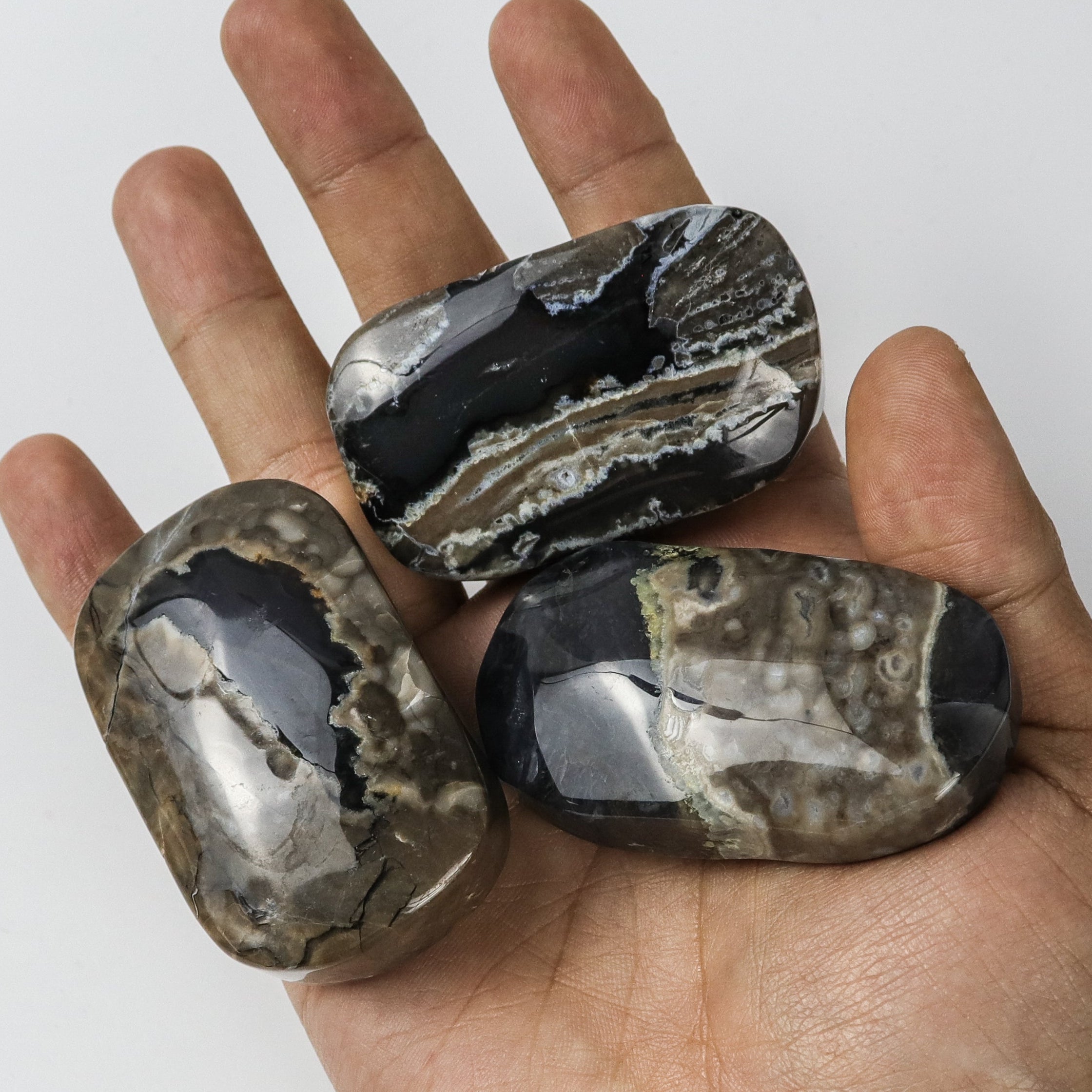 2 Inch Volcano Agate Palm Stone $5