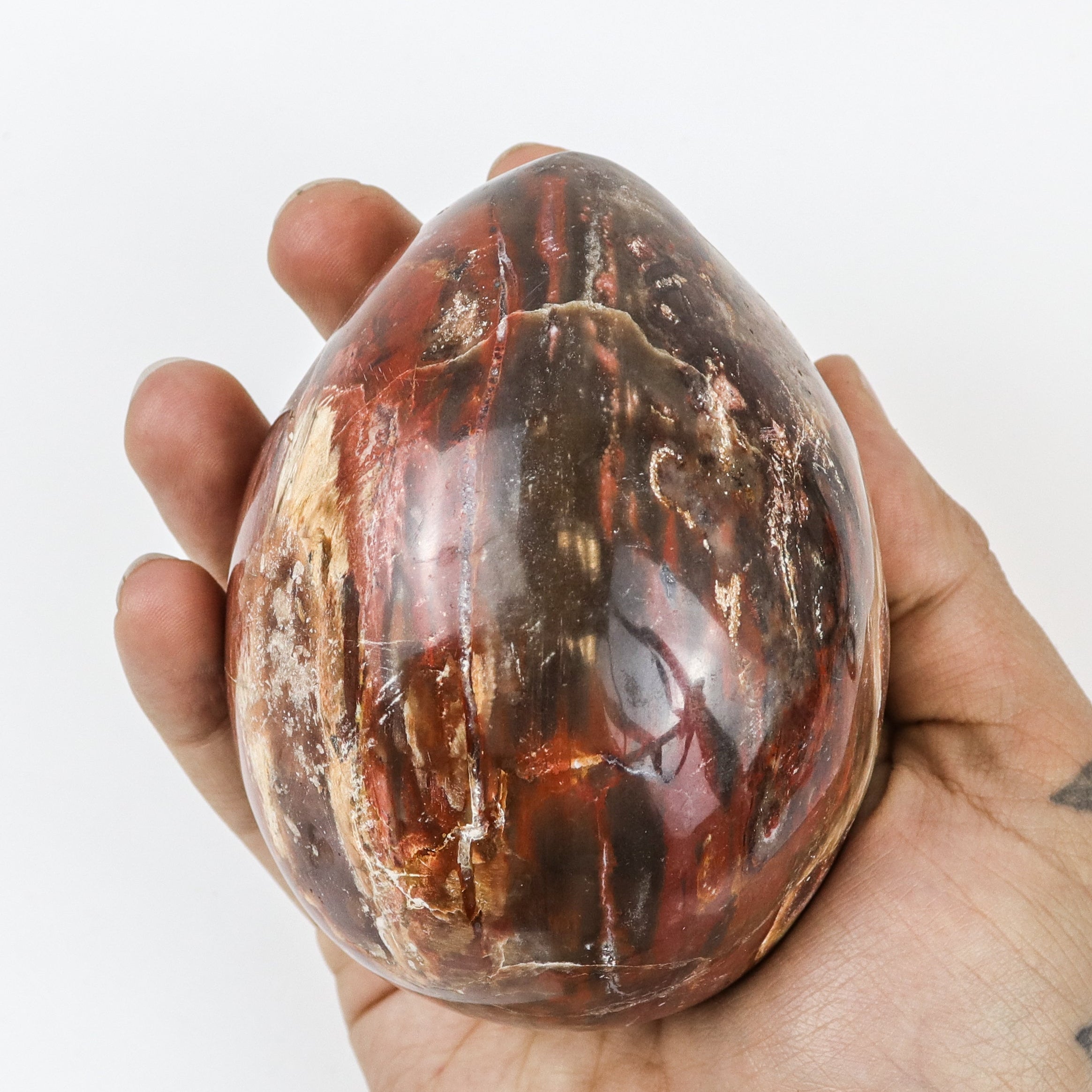 3.5 Inch Petrified Wood Egg $46
