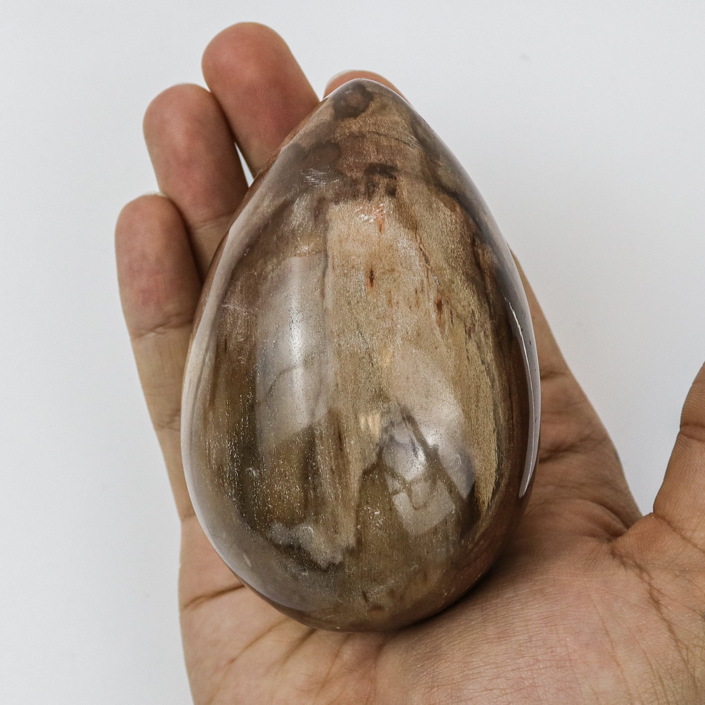 3.5 Inch Petrified Wood Egg $30