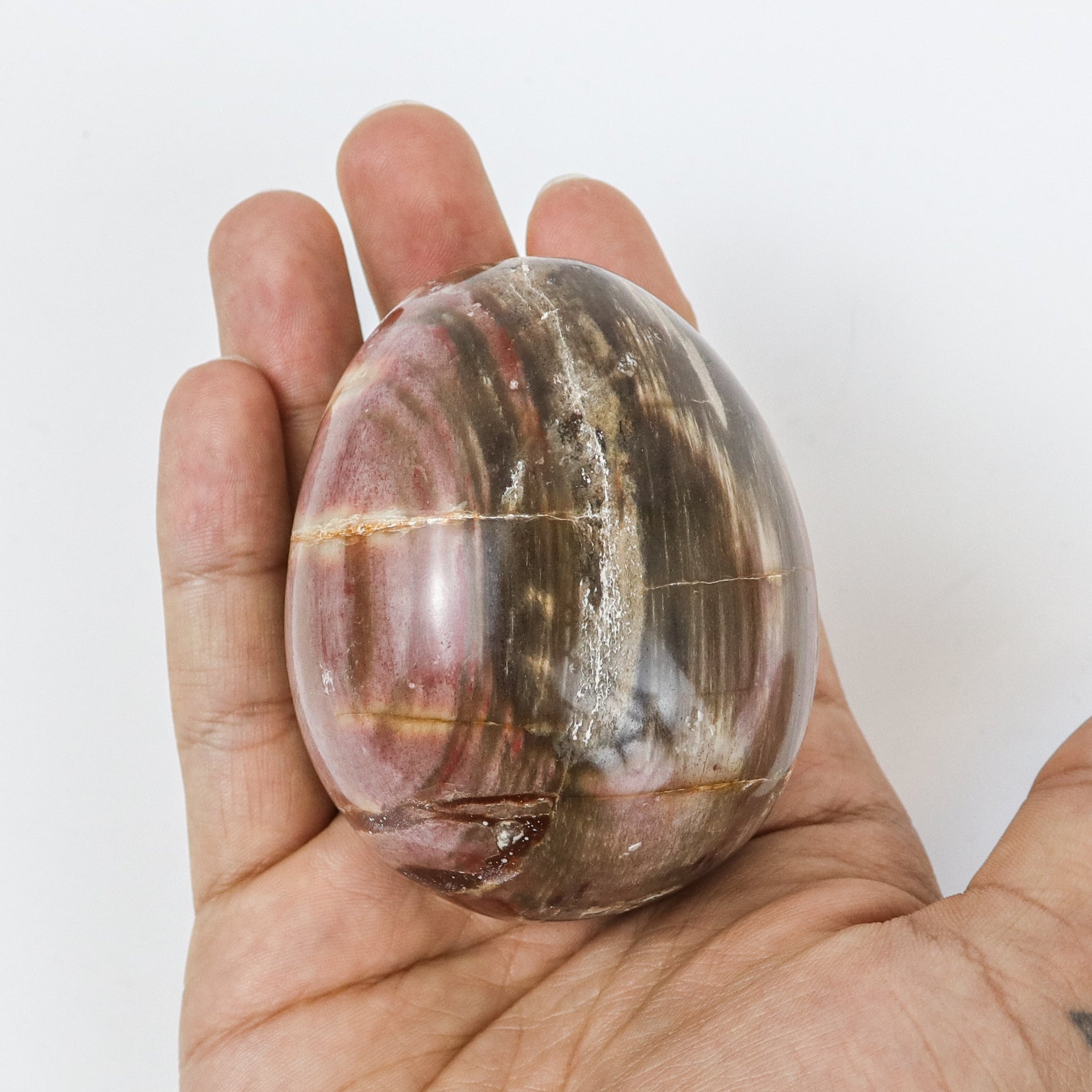 2.5 Inch Petrified Wood Egg $21