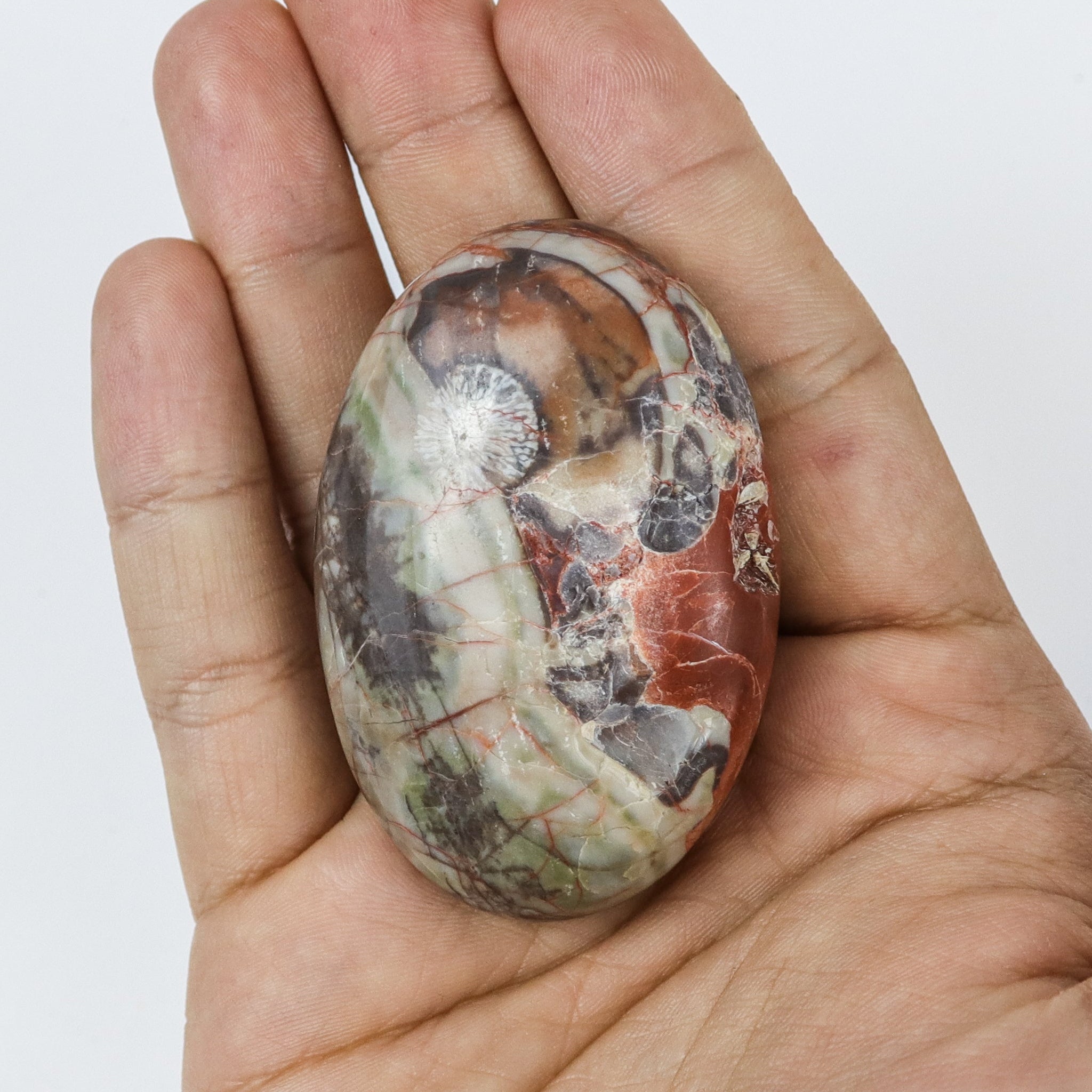 2.25 Inch Money Agate Palm Stone $6