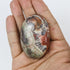 2.25 Inch Money Agate Palm Stone $6