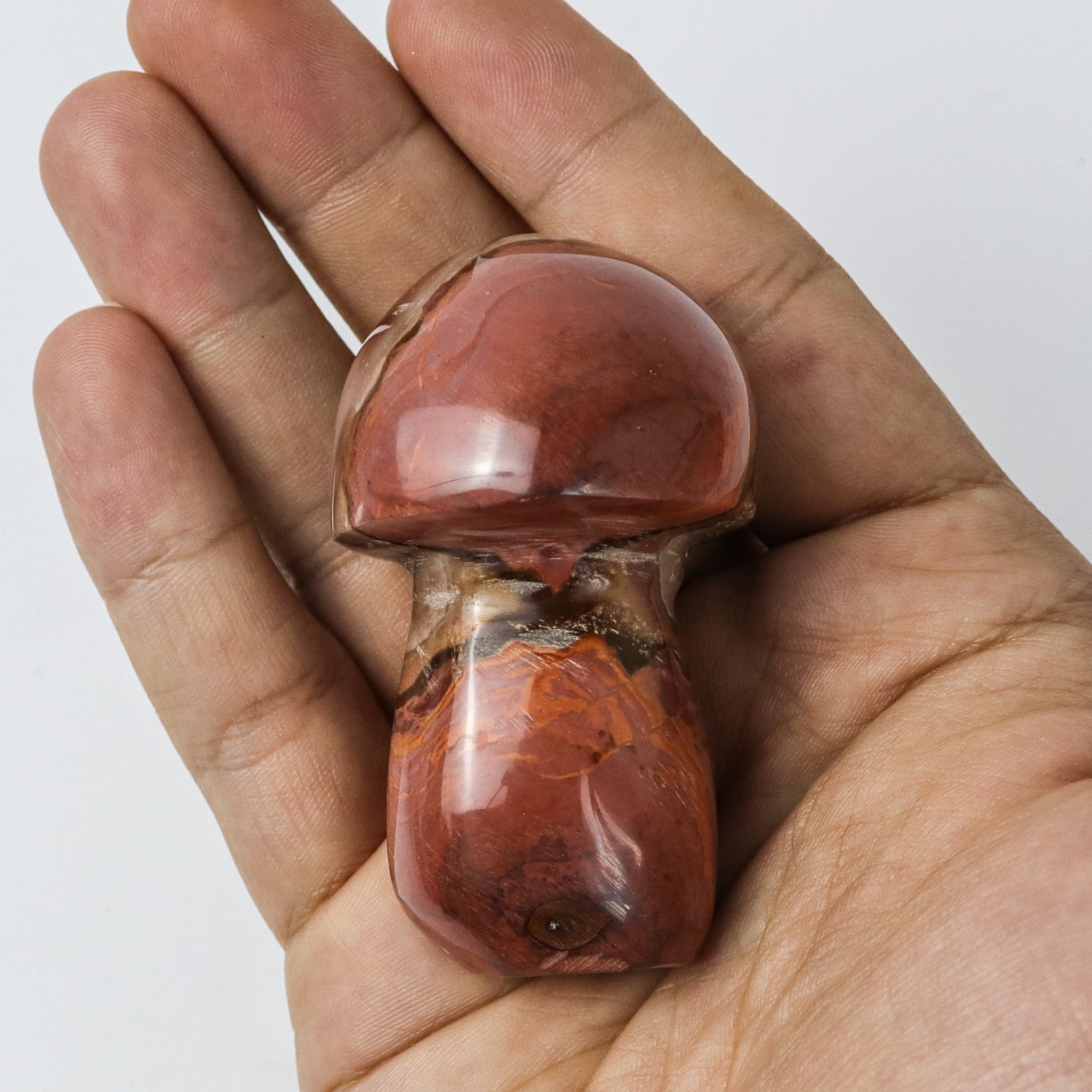 2.5 Inch Polychrome Jasper Mushroom $5.5