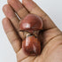 2.5 Inch Polychrome Jasper Mushroom $5.5