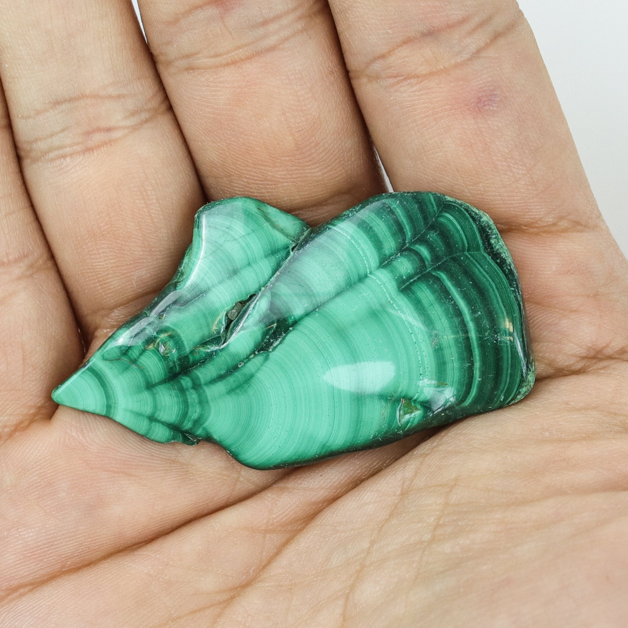 1.5-2 Inch Malachite Slice $9