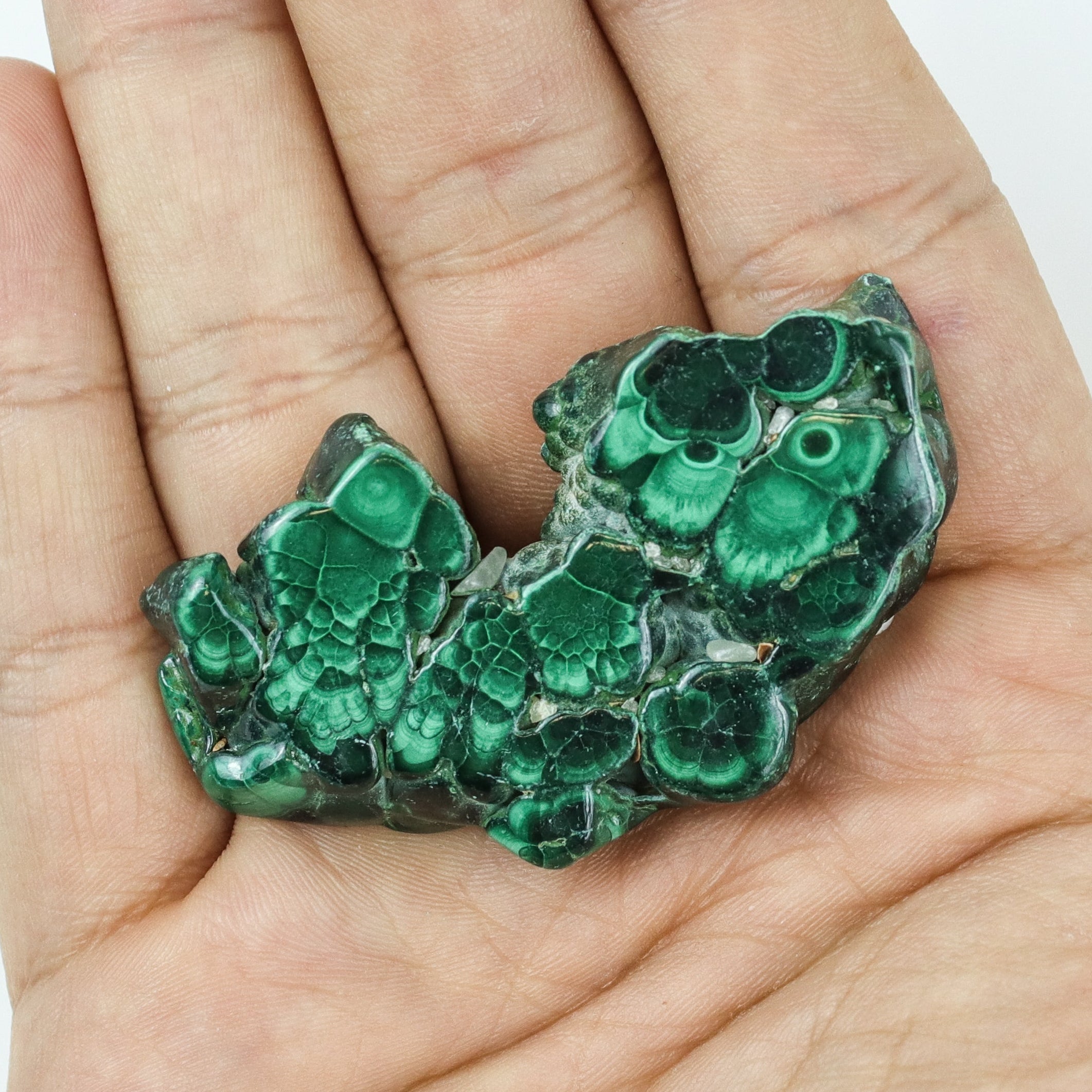 1.5-2 Inch Malachite Slice $9