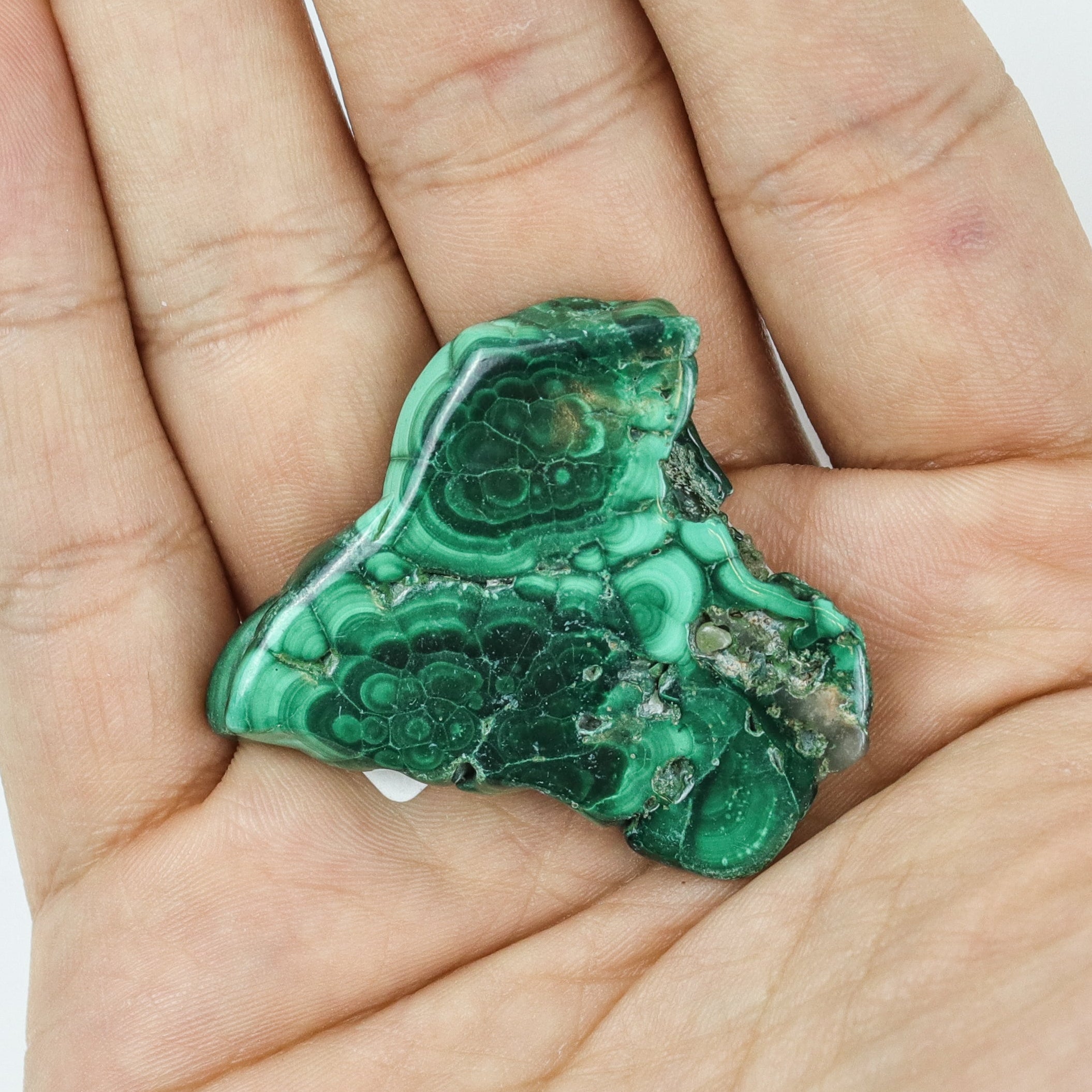 1.5-2 Inch Malachite Slice $9