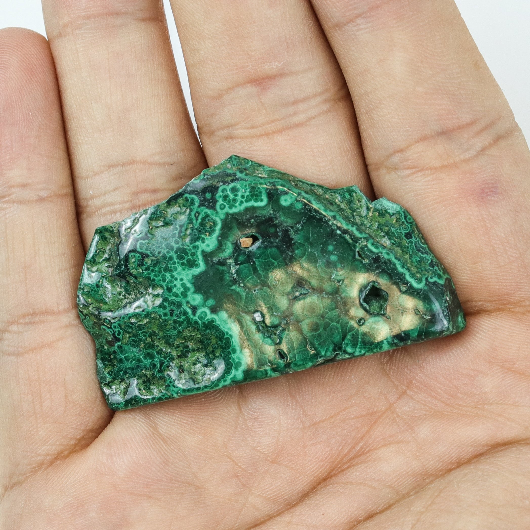 1.5-2 Inch Malachite Slice $9