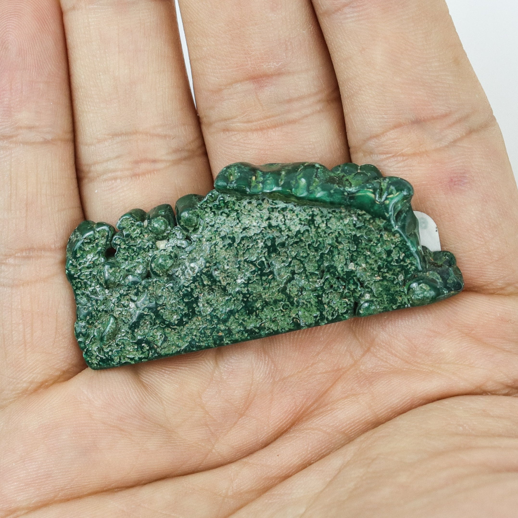 1.5-2 Inch Malachite Slice $9