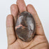 2.25 Inch Money Agate Palm Stone $6