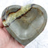 4.25 Inch Septarian Heart Bowl C65
