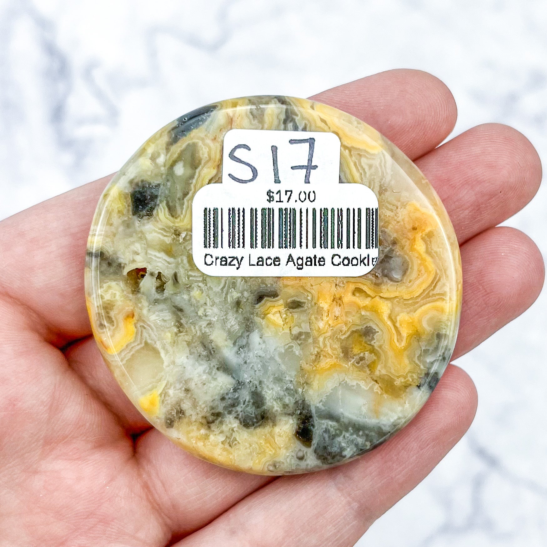 2 Inch Crazy Lace Agate Cookie S17