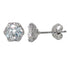 7mm Sterling Silver and Cubic Zirconia Hexagon Stud Earrings E18