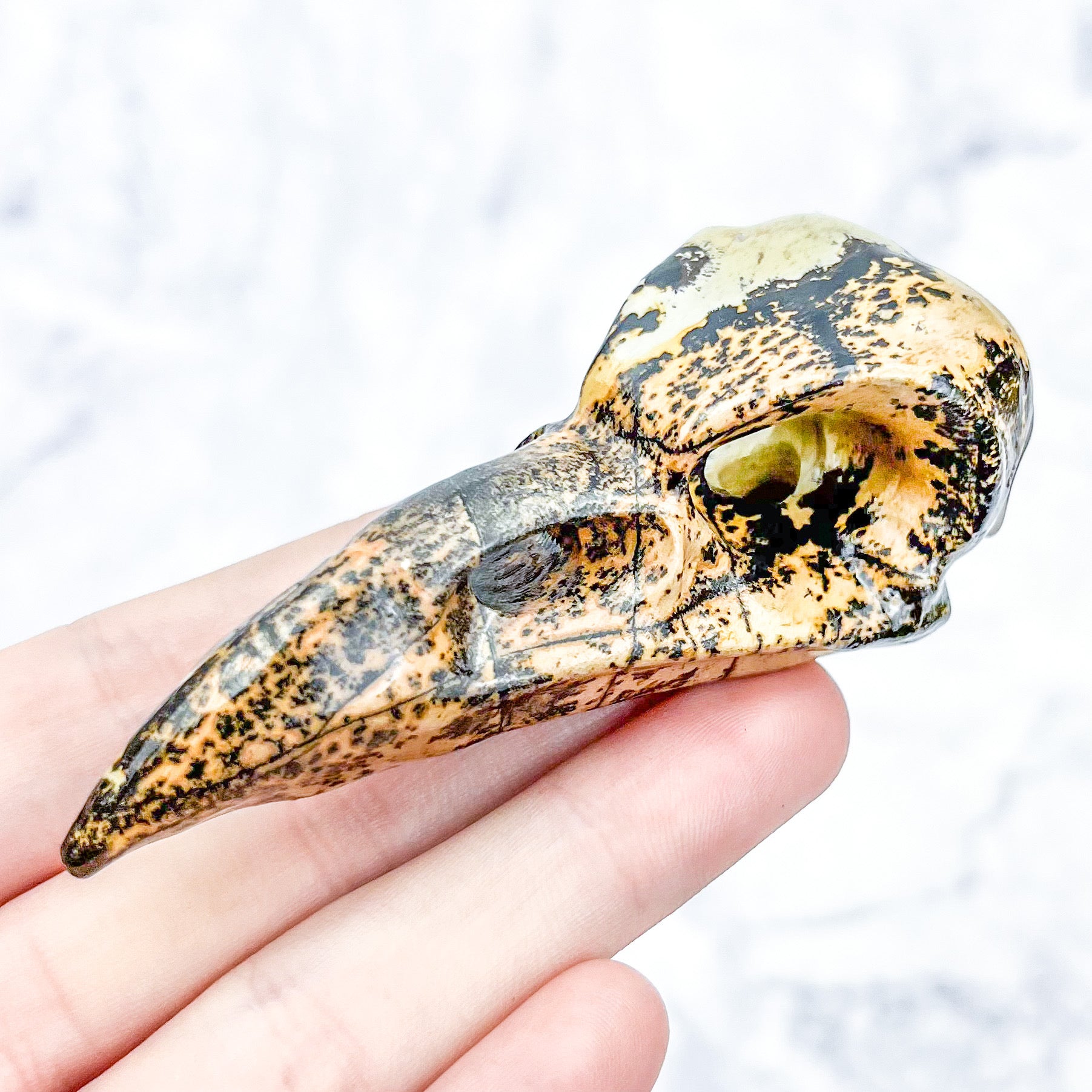 3 Inch Limestone Raven Skull B42