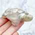 2.5 Inch Flower Agate Turtle Carving E42