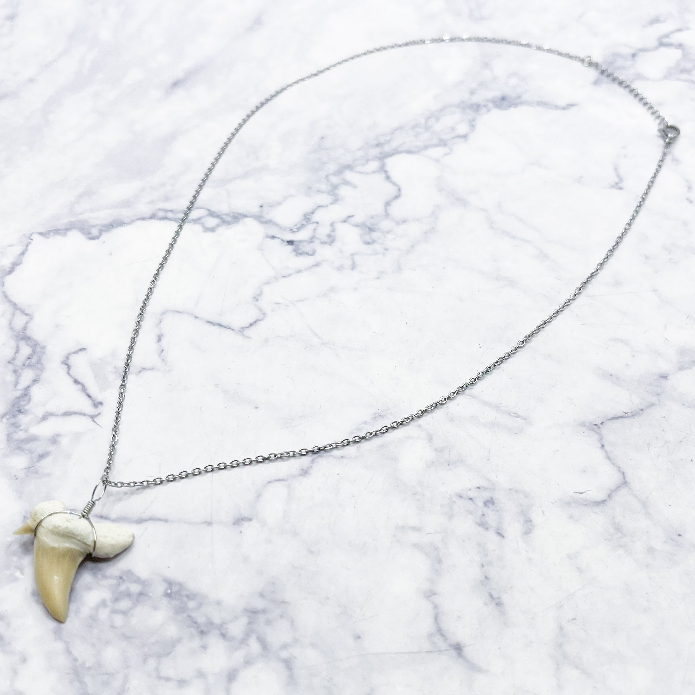 19.6-Inch Silver Shark Tooth Necklace T10