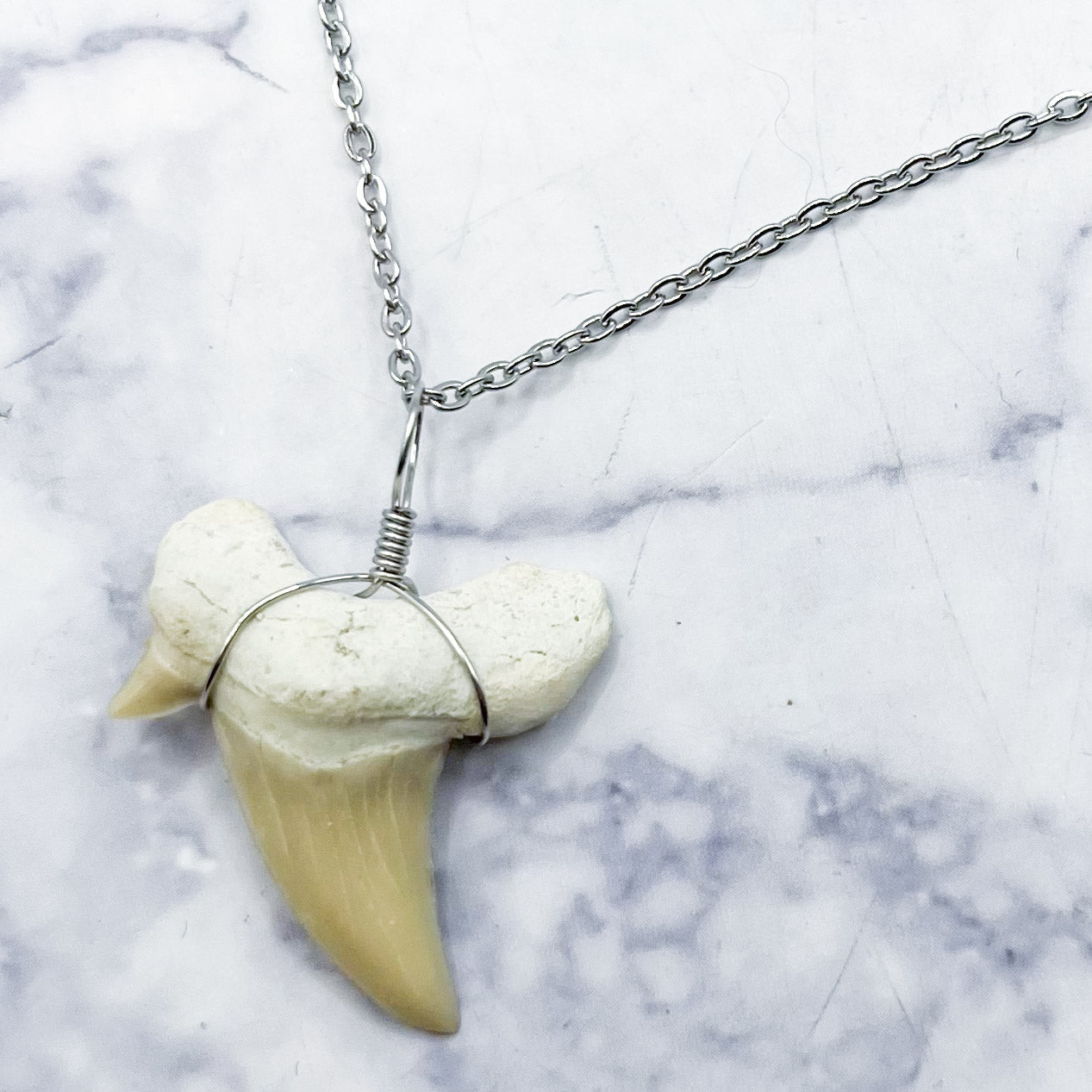 19.6-Inch Silver Shark Tooth Necklace T10