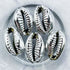 Silver Shell Spacer Bead Pack J25