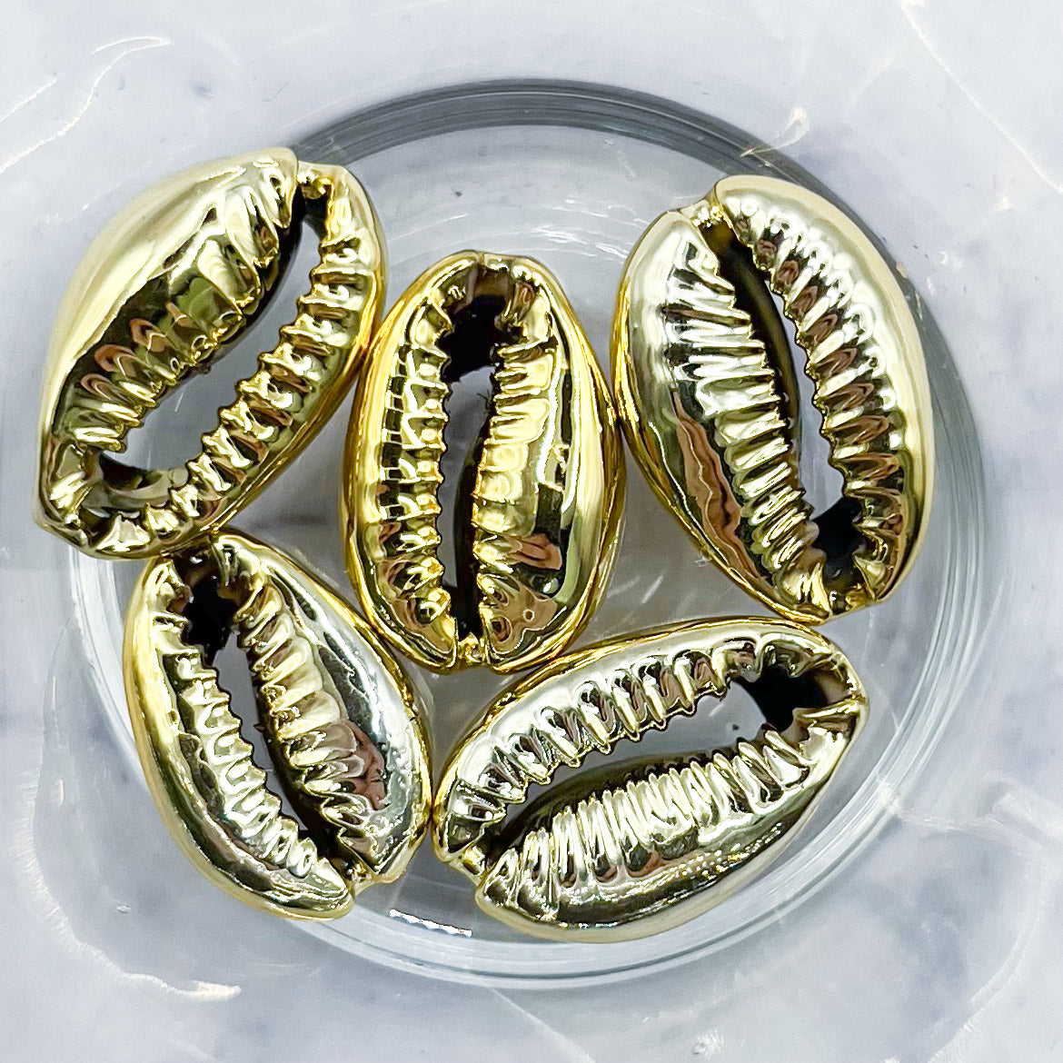 Gold Shell Spacer Bead Pack E25