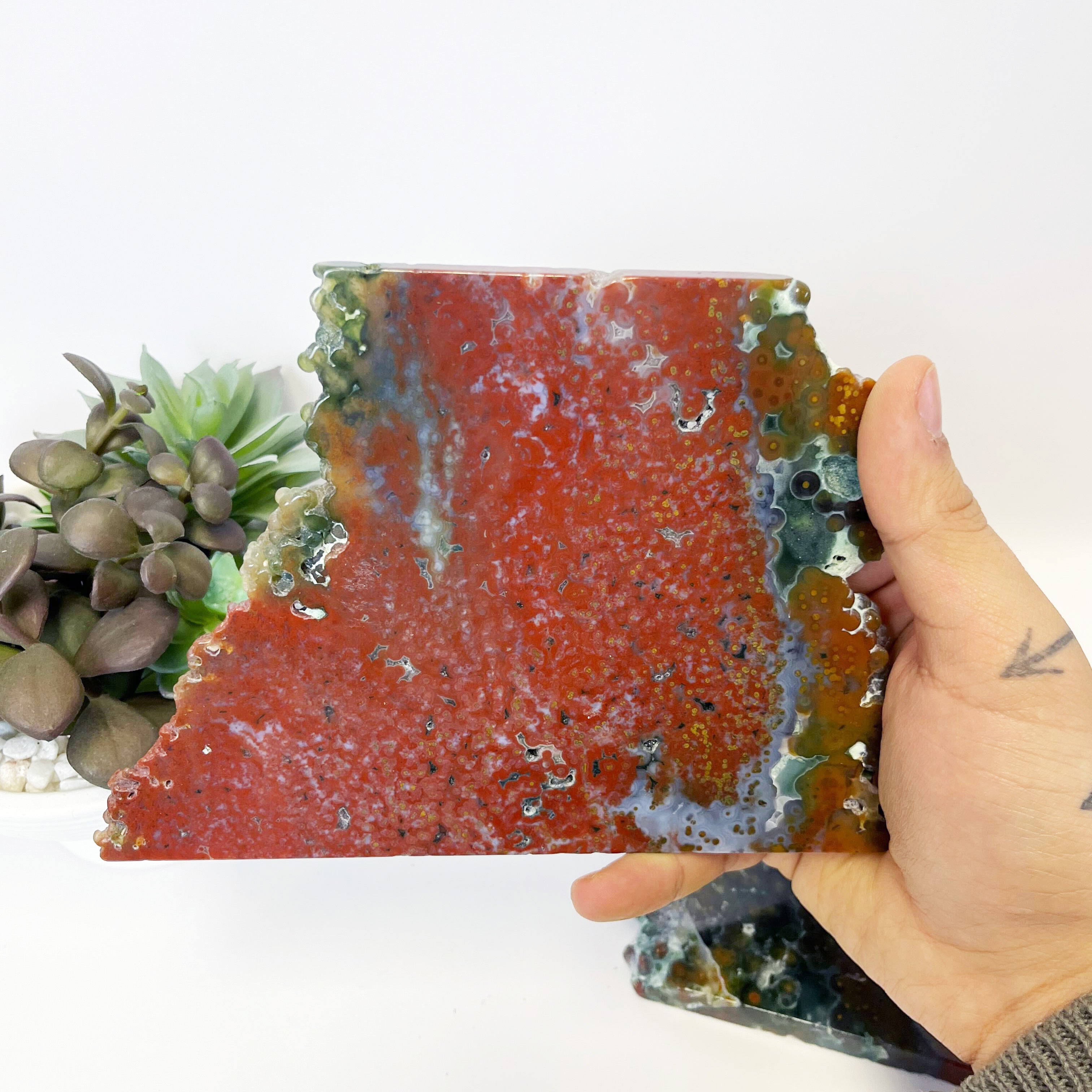 7 Inch Orbicular Jasper Slab E71