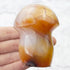 2.5 Inch Carnelian Mushroom Carving E36